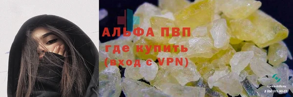 стафф Козельск