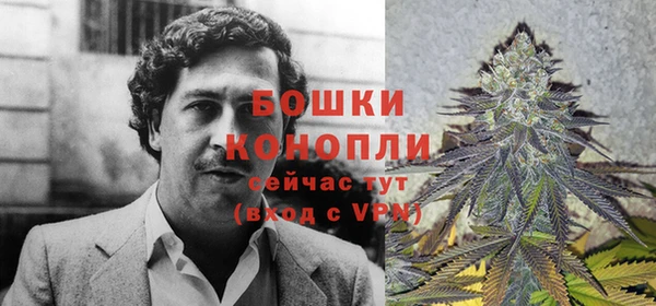 стафф Козельск
