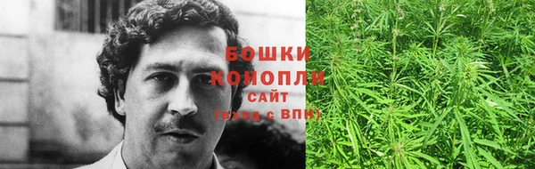 стафф Козельск