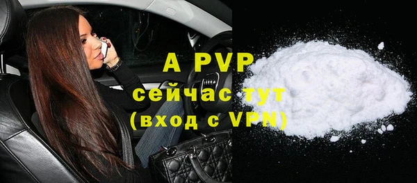 стафф Козельск