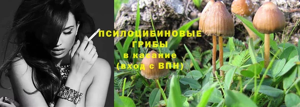 стафф Козельск