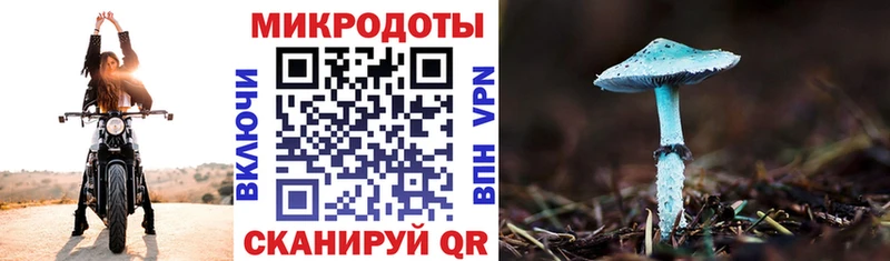 Псилоцибиновые грибы мицелий  Купить закладки  Ак-Довурак 